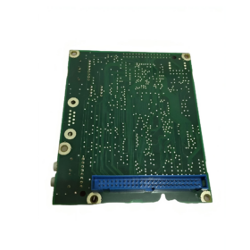 DAPU 100