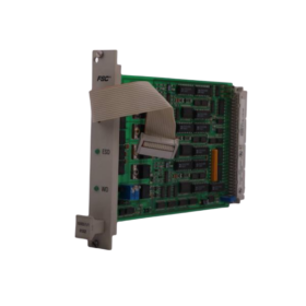 Honeywell 10005/1/1 Watch Dog Module