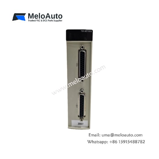 Discover the Schneider TSXAEY1614 analog input module with 16 thermocouple channels, high conversion resolution, and fast read cycle time for Modicon Premium systems.