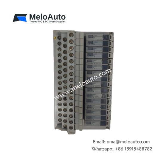 The Yokogawa AND20 is a Node Interface Unit for RIO Bus systems, supporting various I/O modules. Features include fast data transmission, diagnostics, and easy maintenance.