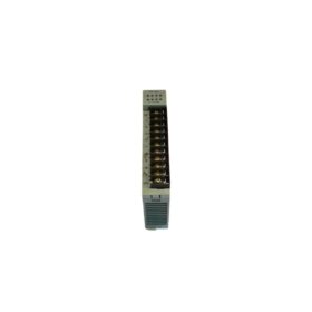 Schneider DO1130000 PLC module features 8 sinking transistor outputs at 0.5A each. 0.5ms response time with short-circuit protection.