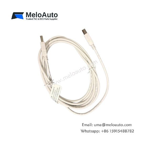 Bently Nevada 123M4610 10-foot USB 2.0 cable with Type-A to Type-B connectors, braided shield, for 3500 system configuration and data transfer.