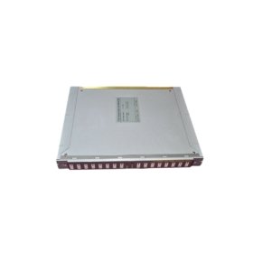 ICS Triplex T7411F Digital Input Module | Specs & Weight